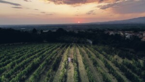 Sorrisi e amore tra Diego e Francesca nel giorno più importante