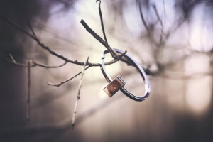 Collezione Wood indossata, ispirazione bosco