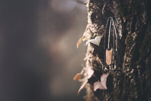 Collezione Wood indossata, ispirazione bosco