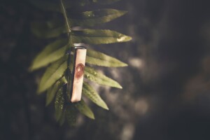 Collezione Wood indossata, ispirazione bosco