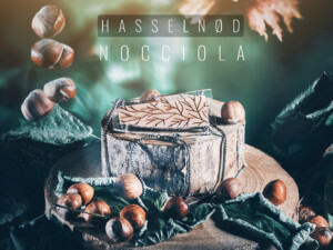 Wood: gioielli ispirati al bosco